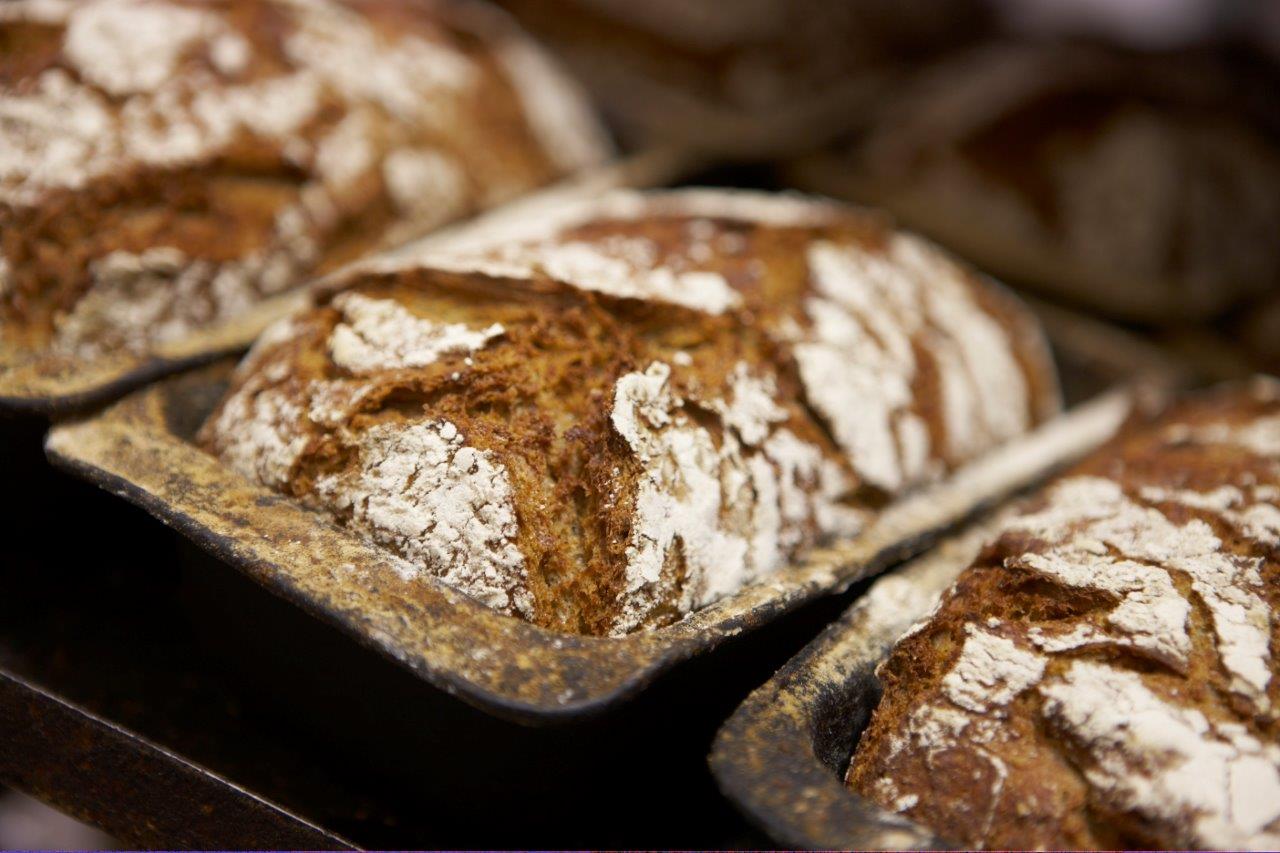 Dark Rye Bread