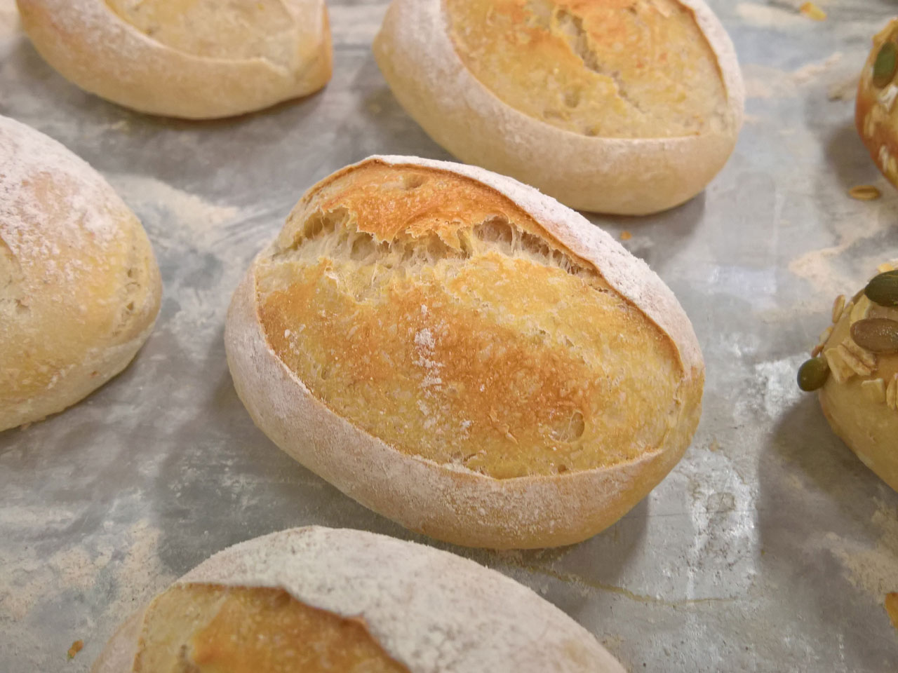 Mini Dinner White Rolls (6pcs)